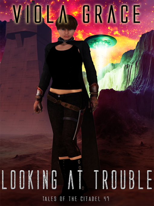 Cover image for Looking at Trouble